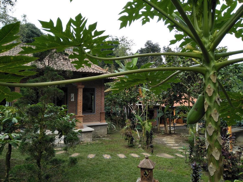 Dina Home Stay At Desa Wisata Wongayagede ジャティルウィ エクステリア 写真